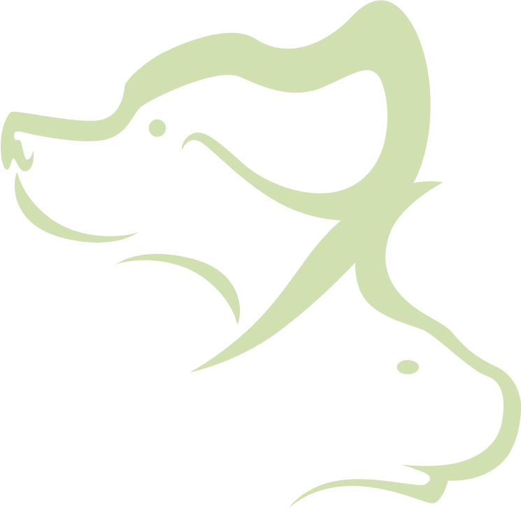 Veterinary Surgery Frequently Asked Questions Clipart (745x728), Png Download