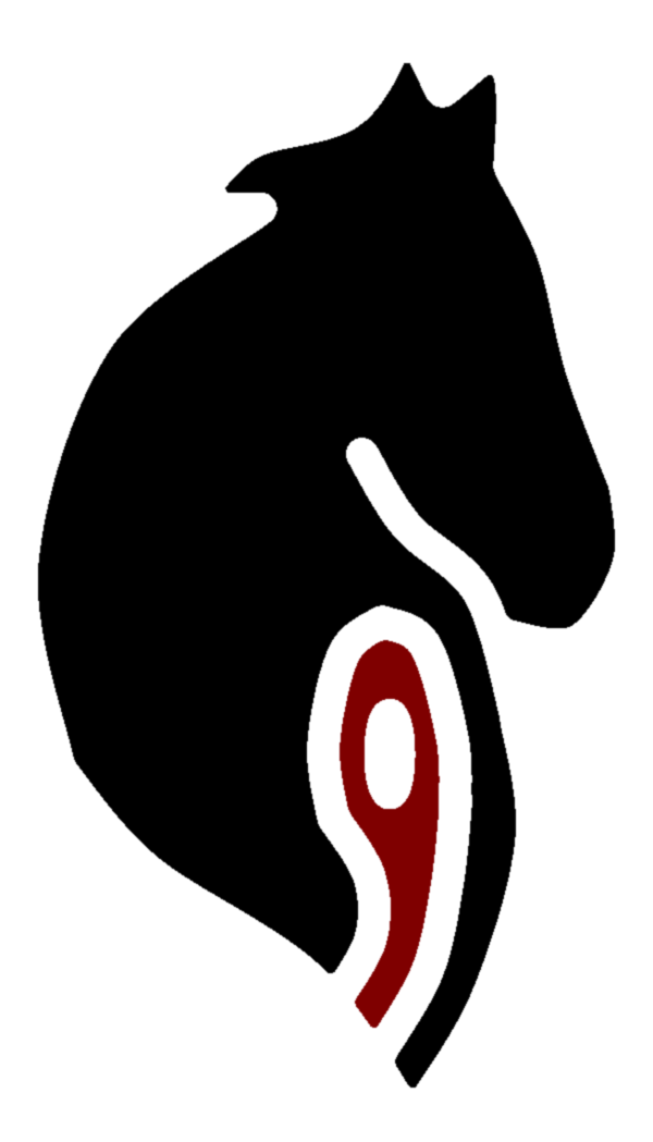 Paladin Nine Security Clipart (600x1049), Png Download