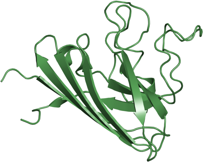<div Class='caption-body'>1 Copy Of Cath Domain Clipart (800x800), Png Download