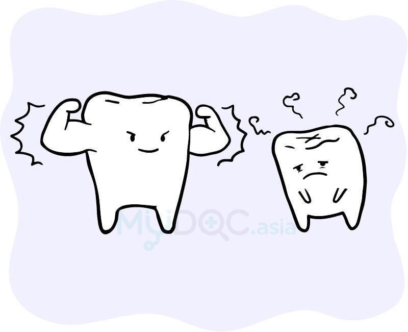 The Health And Strength Of Our Teeth Can Affect Our Clipart (800x650), Png Download