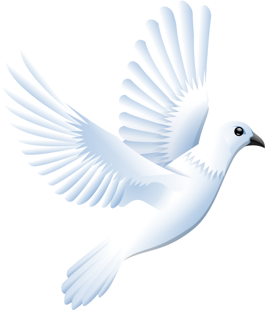 Dove Clipart Peace Prince - Png Download (999x999), Png Download