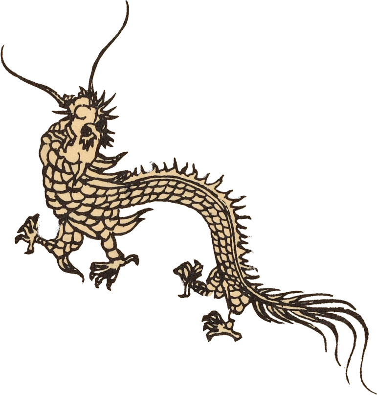 Dragon Clipart (800x827), Png Download
