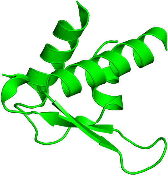 <div Class='caption-body'>1 Copy Of Cath Domain Clipart (800x800), Png Download