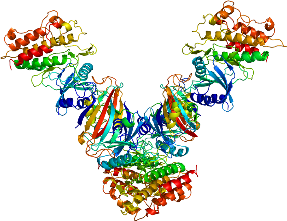 Tgif Clip Art - Png Download (1043x815), Png Download