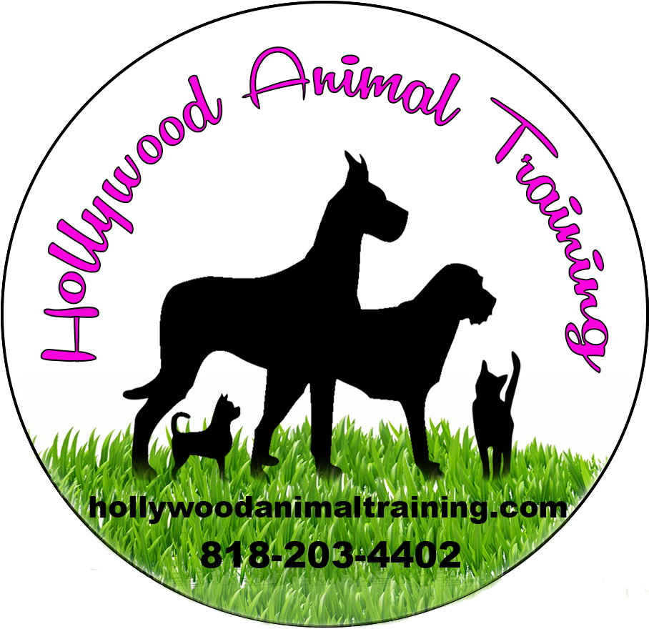 Hollywood Animal Training Clipart (908x910), Png Download