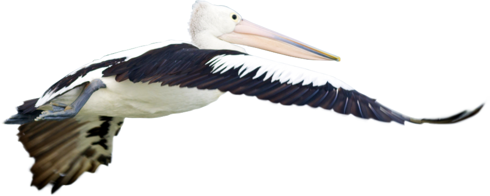 User Experience, User Interface, Website Design, Content Clipart (957x384), Png Download