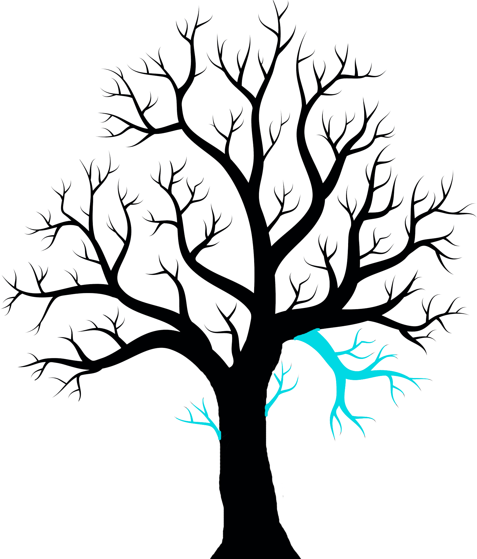 Twig Drawing Ash Leaf Clipart (1599x1875), Png Download