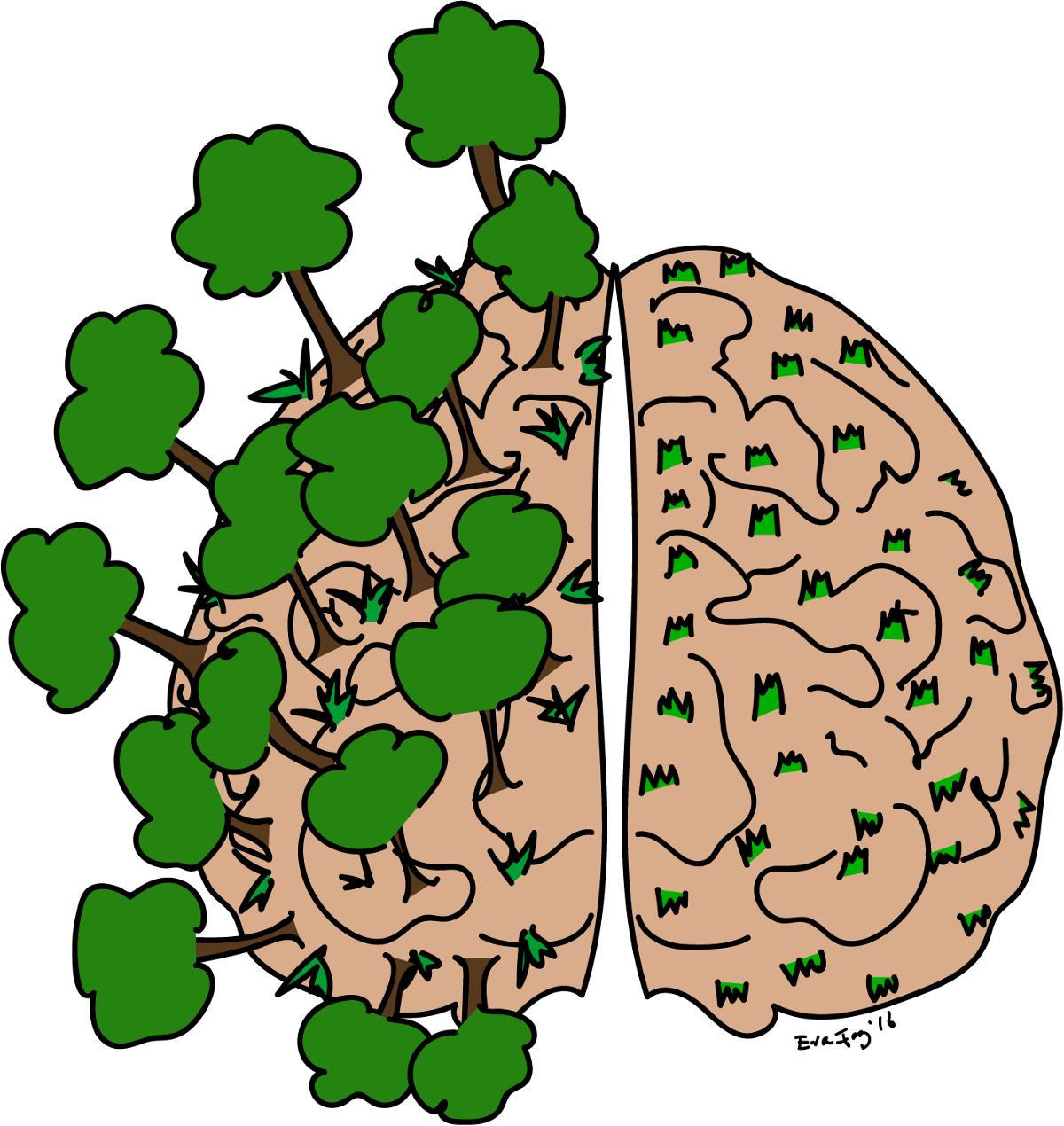 A Childs Brain Versus The Adults Clipart (1200x1270), Png Download