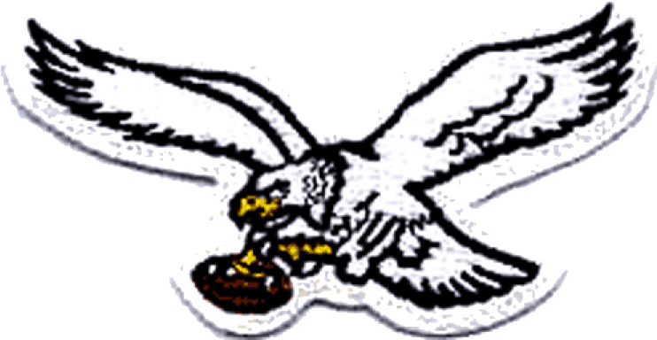 Philadelphia Eagles Iron Ons Clipart (750x930), Png Download