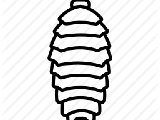 Bugs Clipart Woodlouse - Png Download (640x480), Png Download