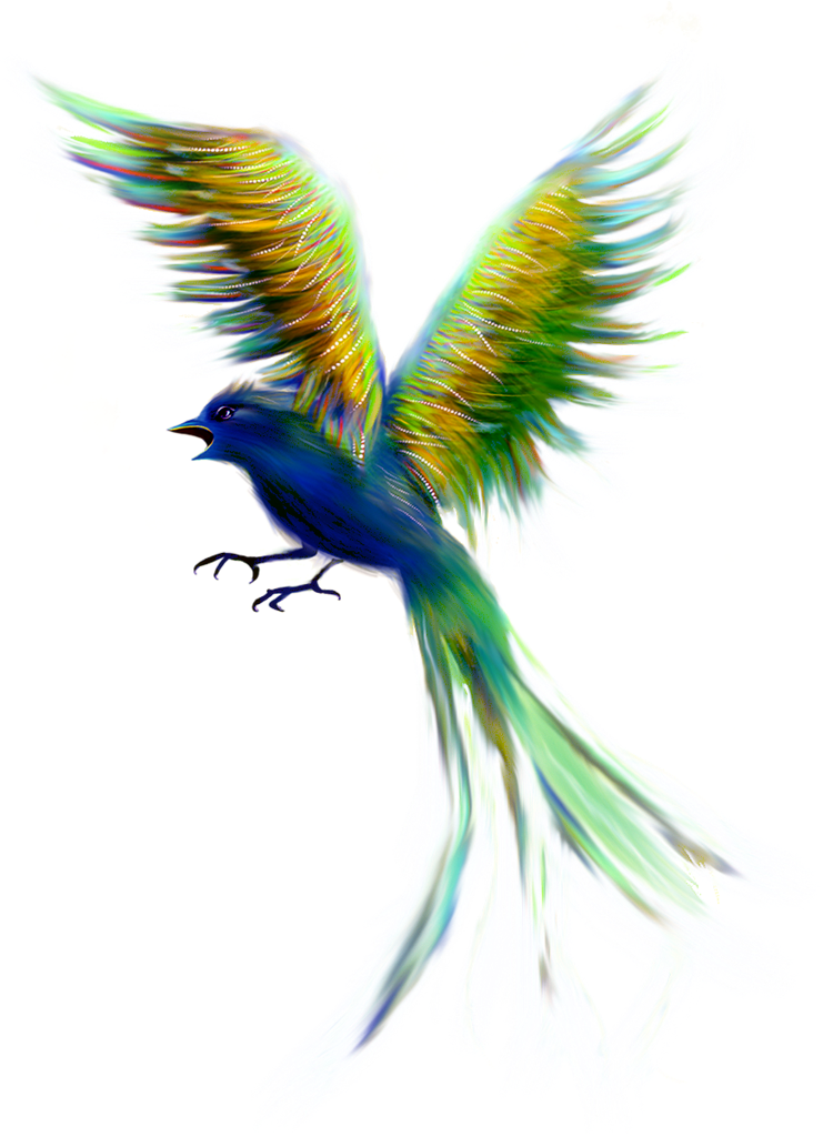 Super Imagens Png De Passaros Variados Para Fotomontagens Clipart (741x1024), Png Download