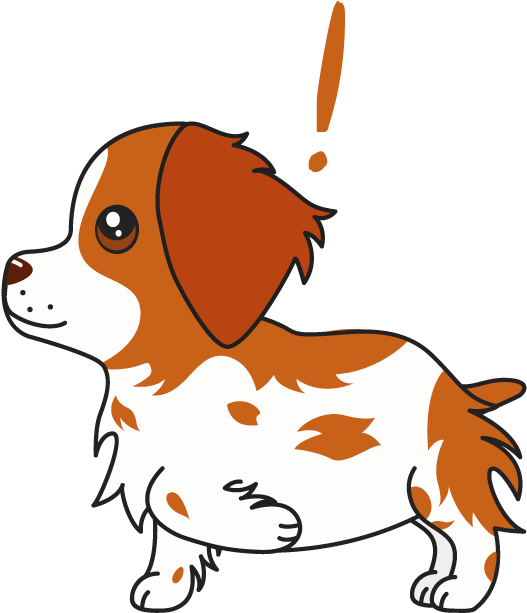 Honey The Brittany Spaniel Messages Sticker-9 Clipart (618x618), Png Download