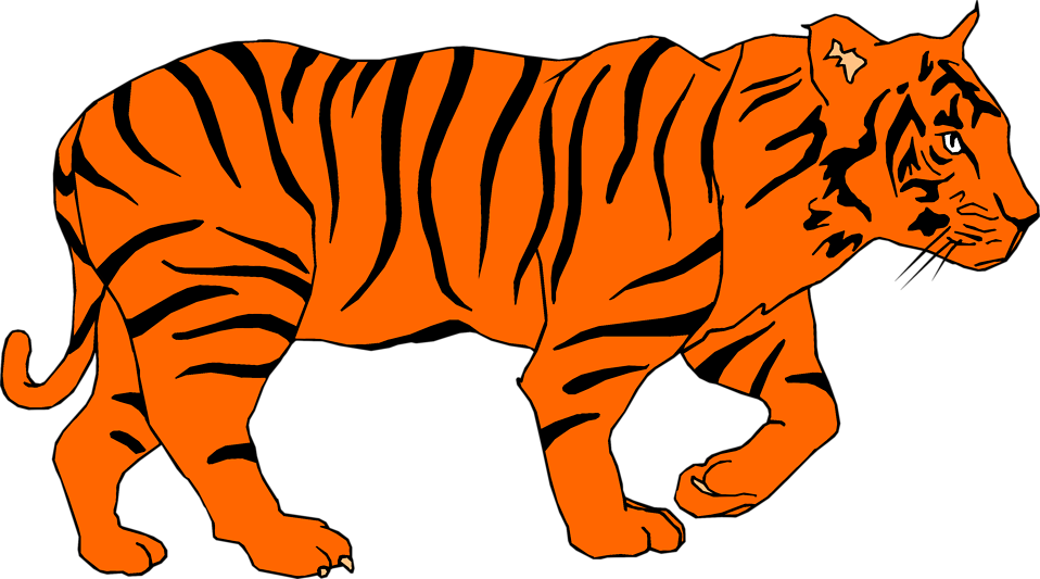 Clipart Of Tigers, Tiger And Palmer - Png Download (958x533), Png Download