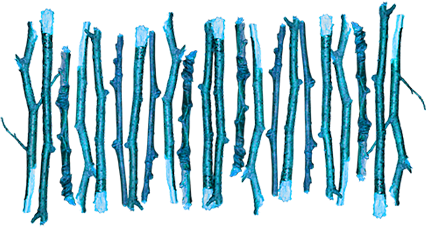 Wattle Fence Clip Art - Png Download (868x464), Png Download