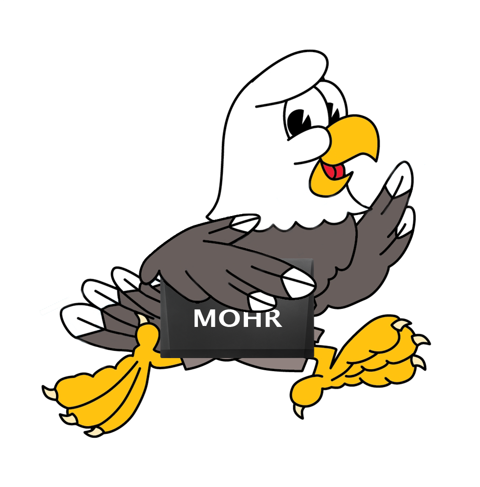 Amy Brooks's Profile Photo Clipart (1000x1000), Png Download