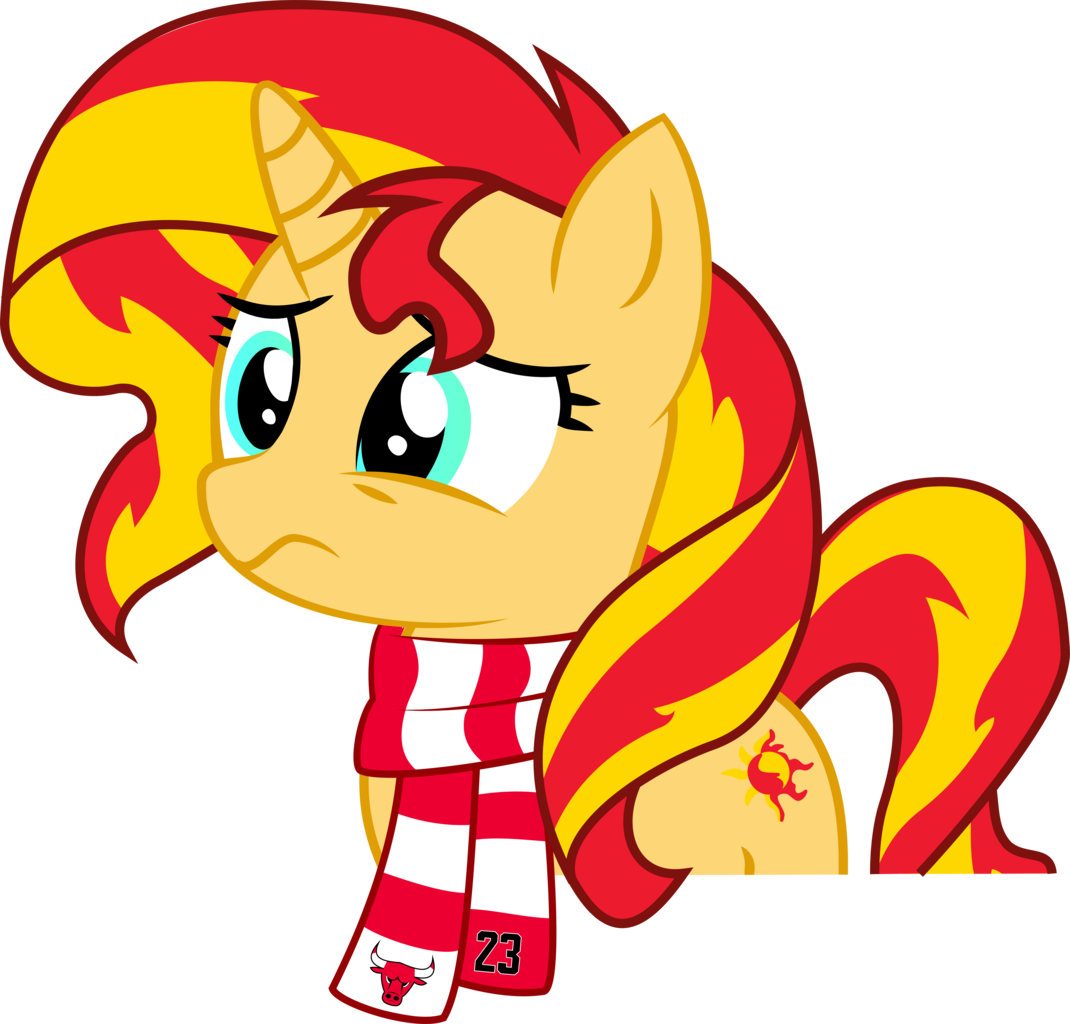 Artist Needed, Chicago Bulls, Clothes, Female, Mare, Clipart (1070x1024), Png Download