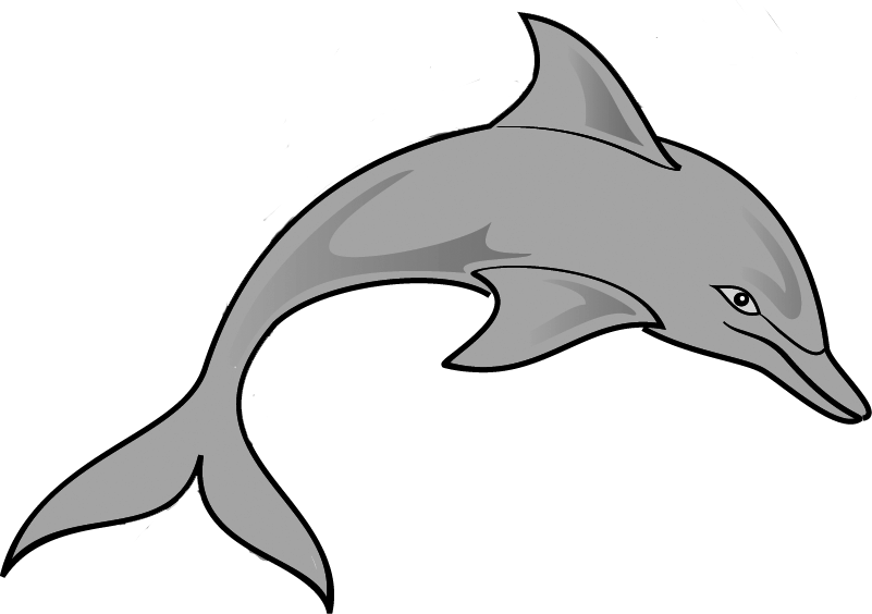 Free Dolphin Clipart Image - Png Download (801x564), Png Download