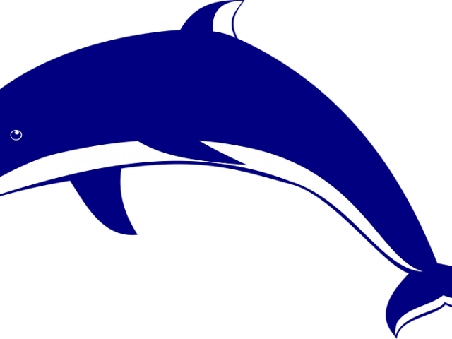 Dolphin Images Free Clipart (640x480), Png Download