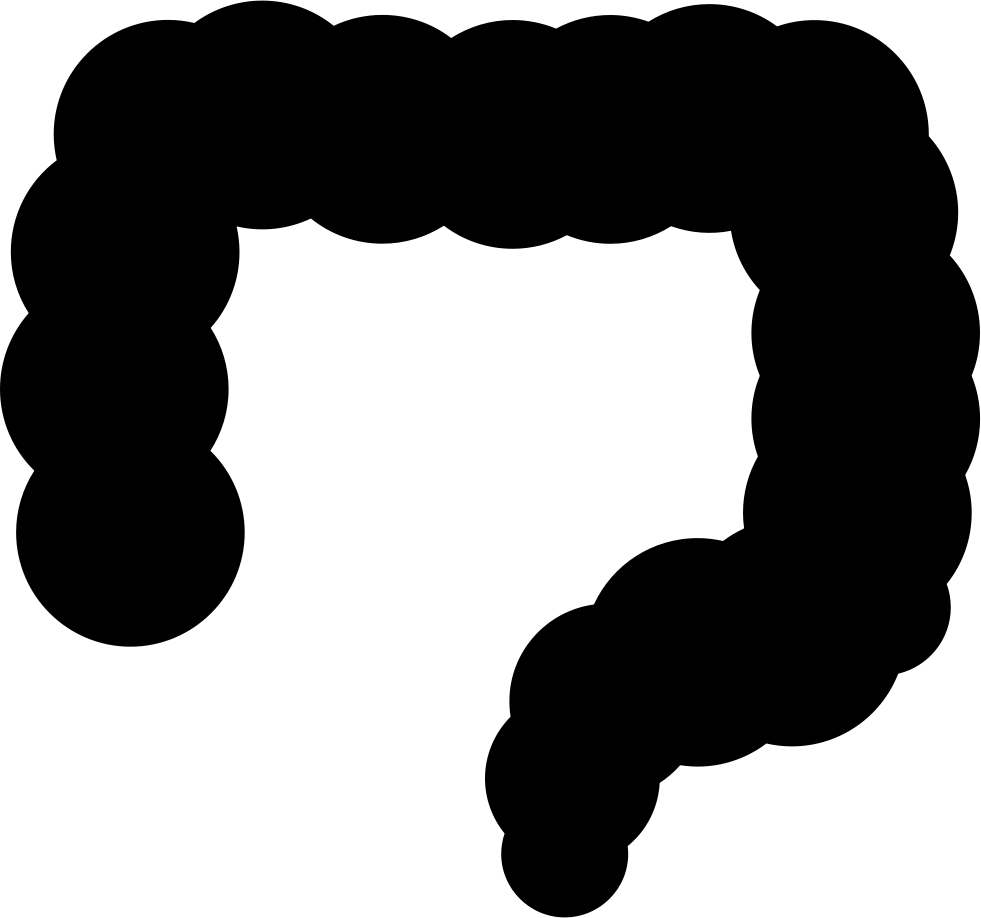 Big Intestines Comments Clipart (981x918), Png Download