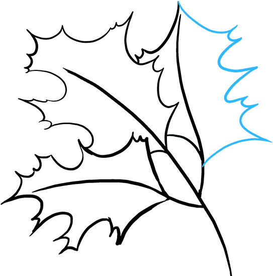 How To Draw Fall Oak Clipart (680x678), Png Download