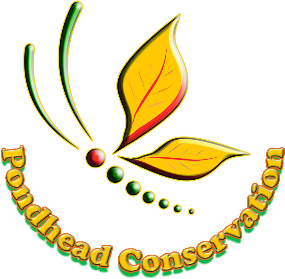 Rather Than Follow The Herd, We Have Decided Upon Burgundy Clipart (1052x986), Png Download