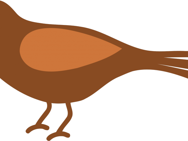 Simple Clipart Bird - Png Download (640x480), Png Download