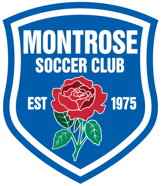 Junior Soccer Players Wanted Clipart (554x640), Png Download