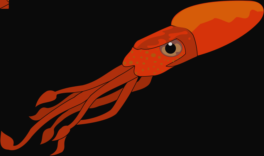 Squid Clip Art Free Clipart Images 2 Vampire Squid - Png Download (900x533), Png Download