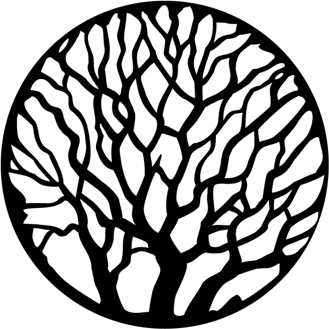 More Views - Tree - Bare Clipart (800x800), Png Download
