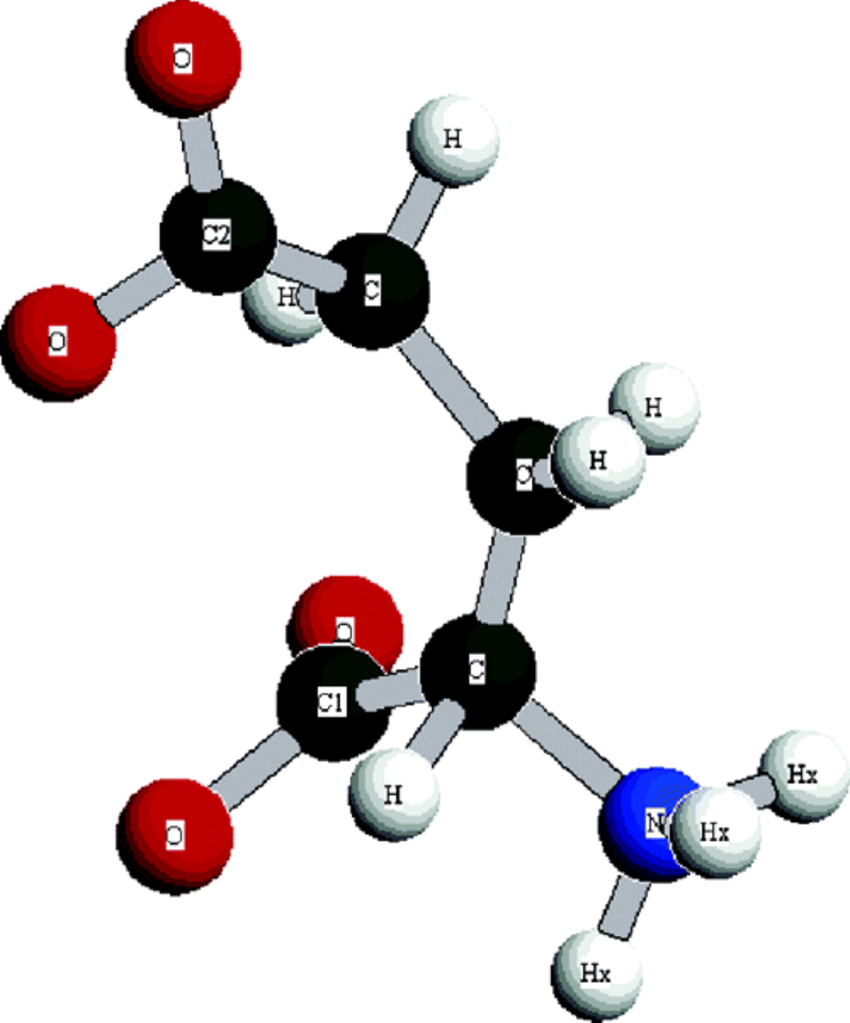 Molecular Structure Of L-glutamic Acid From The Epsr Clipart (850x1023), Png Download