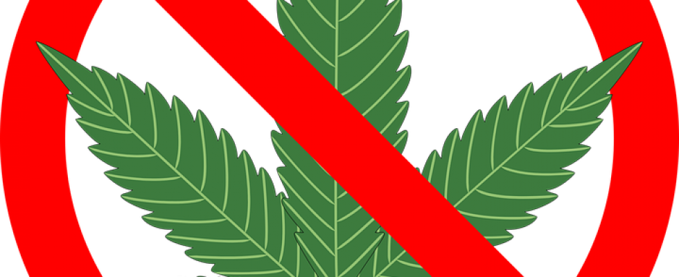 A Could Soon Be The Marijuana Capital Of The World Clipart (980x400), Png Download