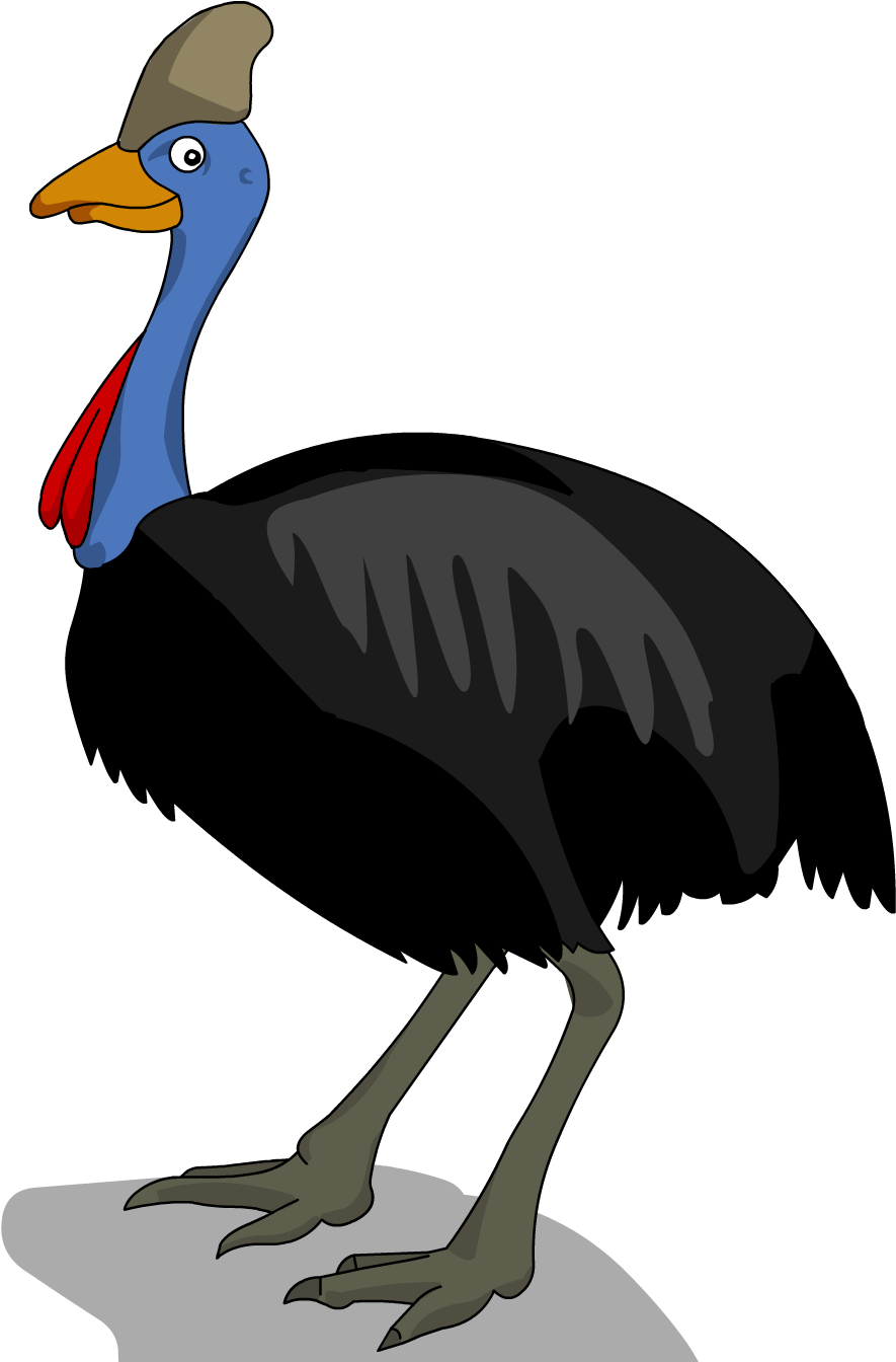 Image Freeuse Stock Collection Of Free Cassowaries Clipart (1778x1528), Png Download