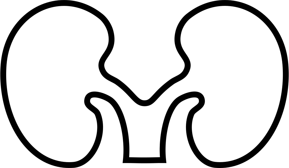 Font Kidney Comments Clipart (982x572), Png Download