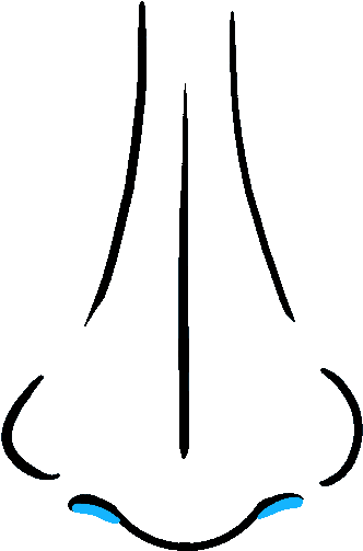 How To Draw Nose Clipart (680x678), Png Download