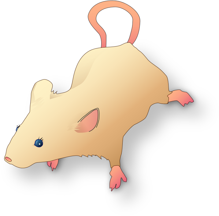 File Vectorized Lab Mouse Mg 3263 For Scientific Figures Clipart Full