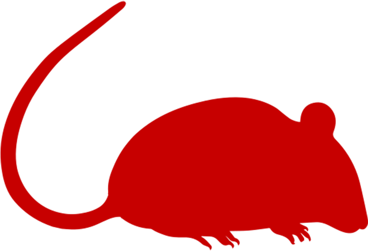 Rat Removal Clipart (1060x1060), Png Download