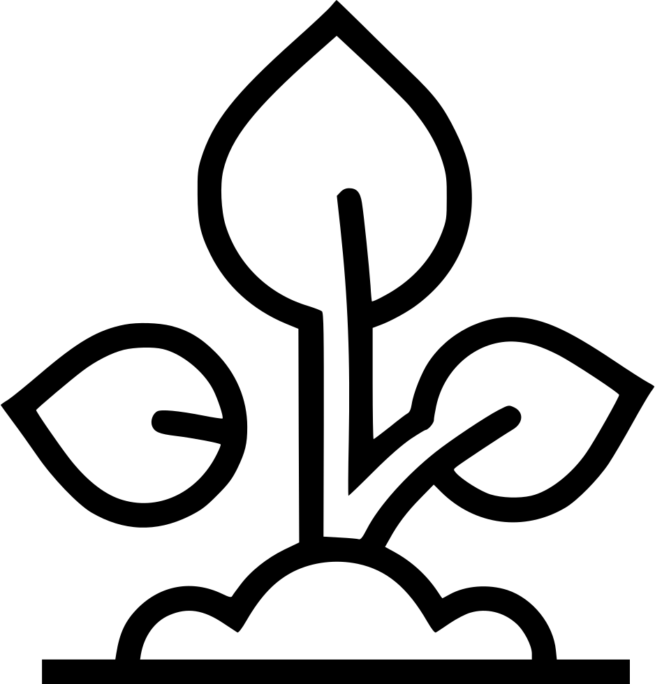 Plant Seedling Grow Comments Clipart (938x980), Png Download