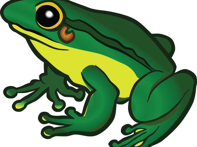 Tree Frog Clipart Clip Art - Png Download (640x480), Png Download