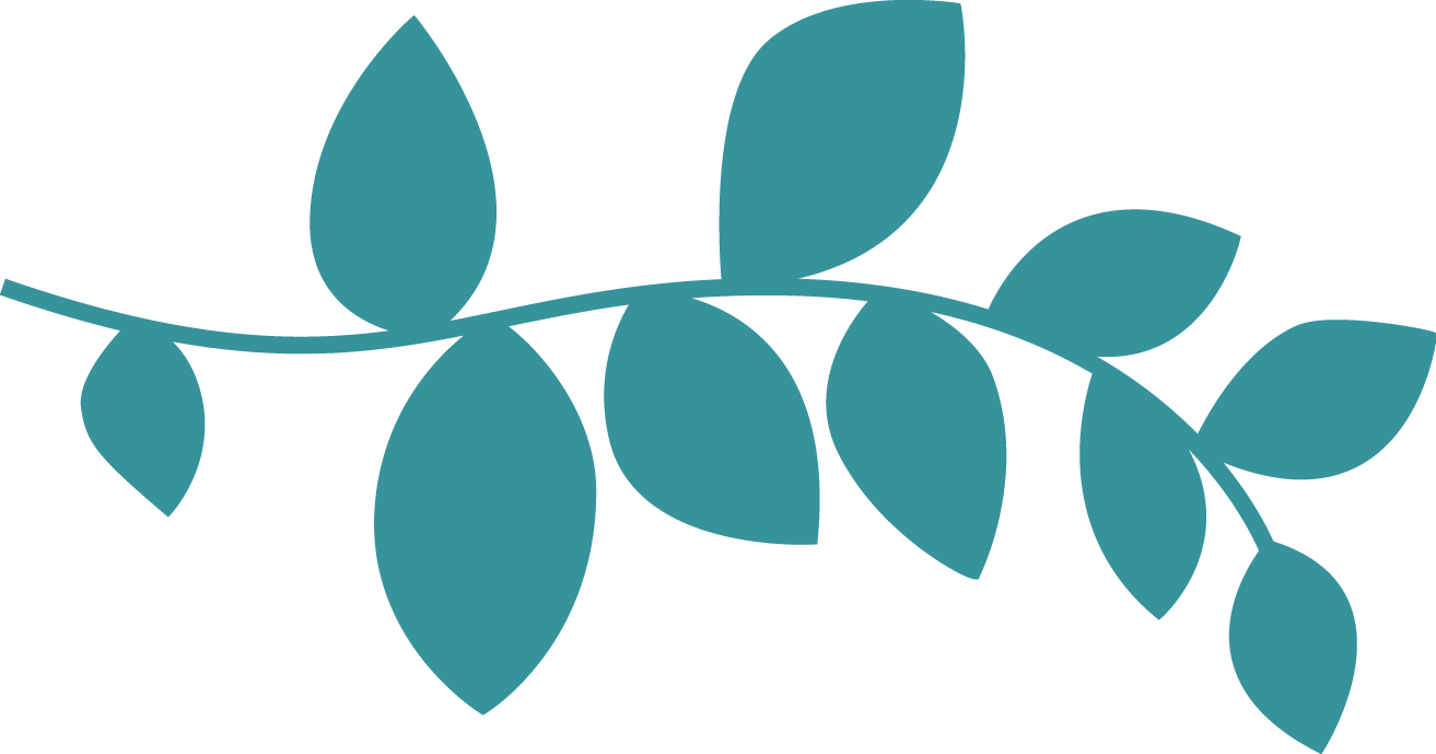 Bh Cherryedition Leaves Clipart (1313x689), Png Download