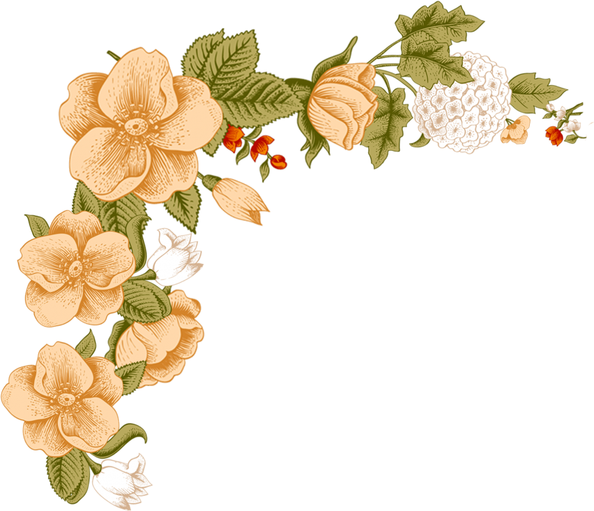 Free Png Download White Flower Frame Png Images Background Clipart (850x732), Png Download