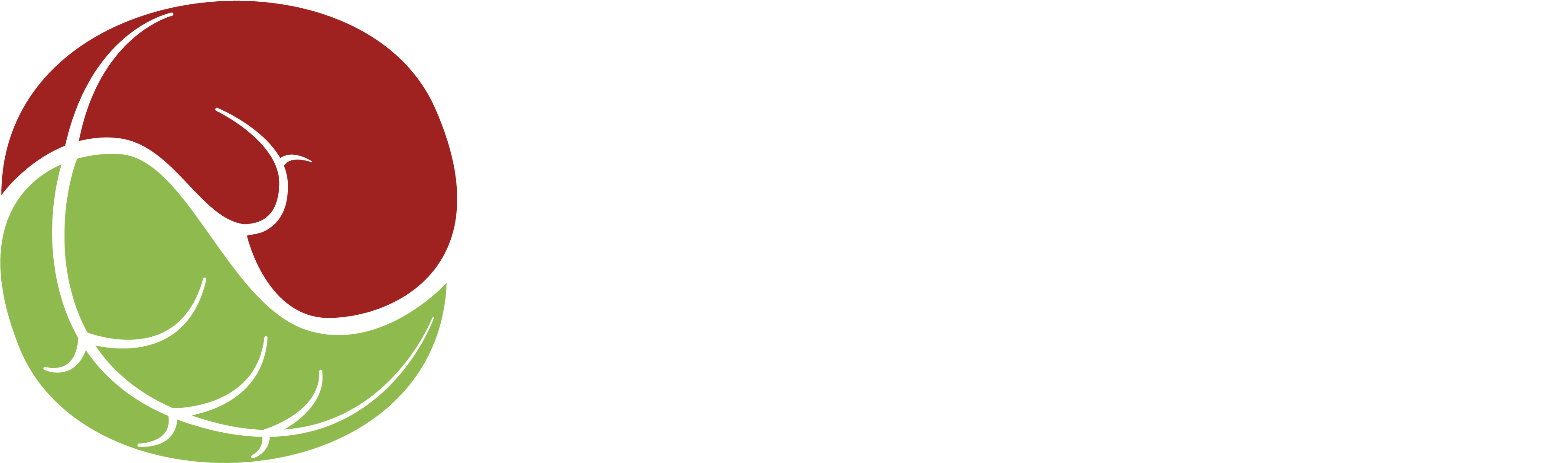 Boxing In The Park Logo Clipart (4307x1439), Png Download