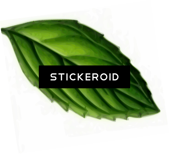 Mint High Quality Clipart (666x607), Png Download