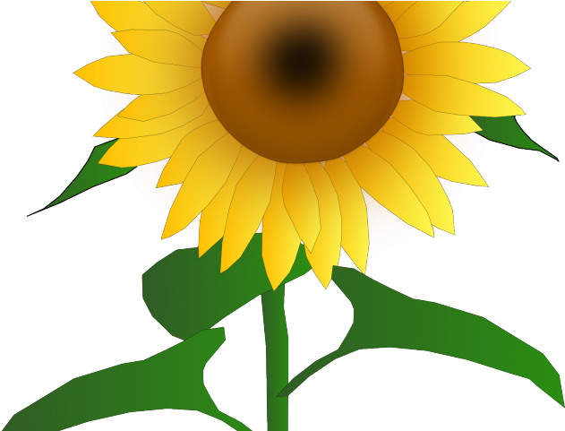 Sunflower Clipart September - Png Download (640x480), Png Download