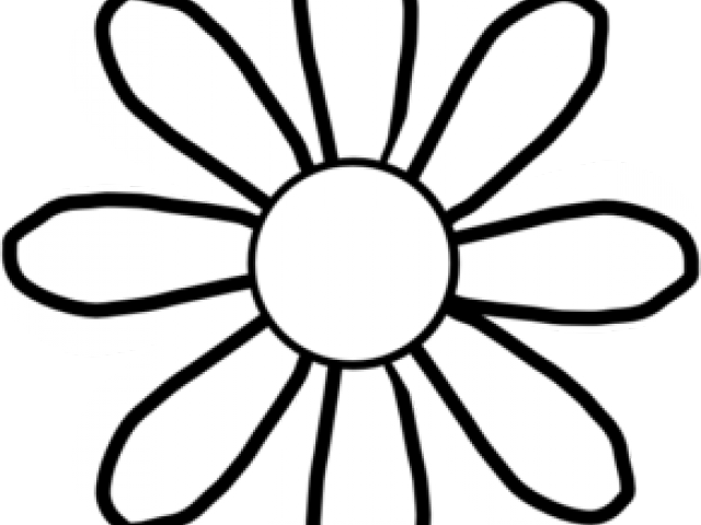 White Flower Clipart Clip Art - Png Download (640x480), Png Download