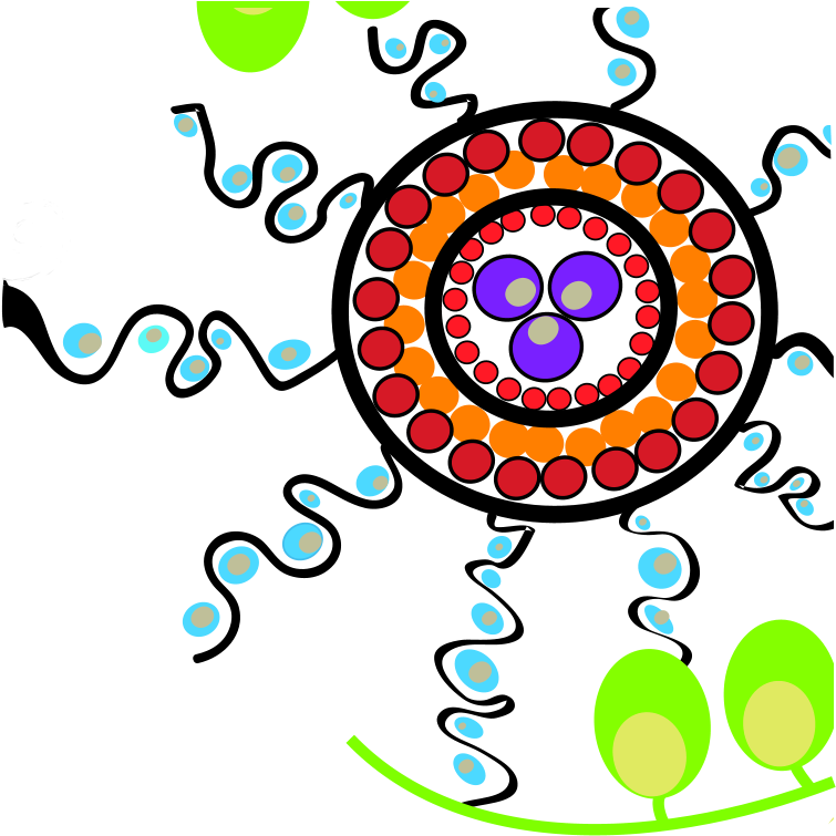 Evaluation Highlights & Outcomes Clipart (756x878), Png Download