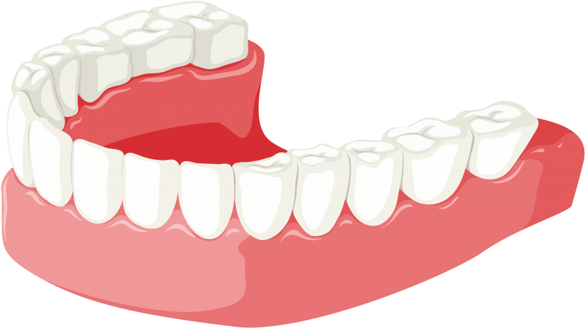Free Png Download Lower Jaw Clipart Png Photo Png Images Transparent Png (850x477), Png Download