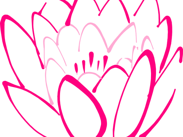 Lotus Clipart Clip Art - Png Download (640x480), Png Download