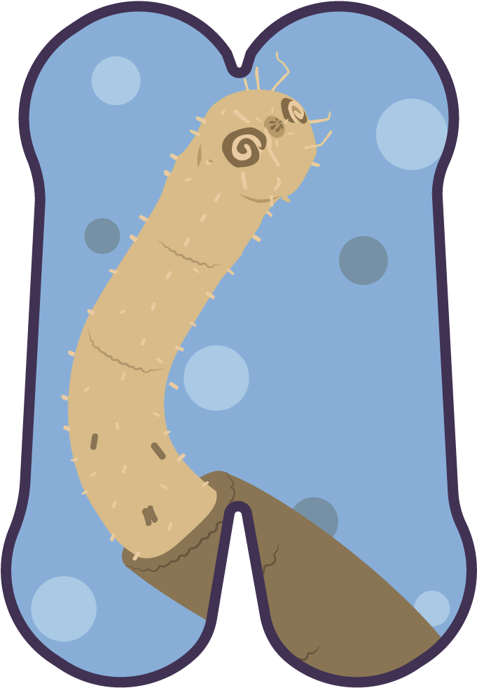 The Second Day Of The Microbial Advent Calendar And Clipart (798x1070), Png Download