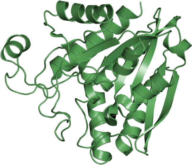 <div Class='caption-body'>1 Copy Of Scop Domain < Clipart (800x800), Png Download