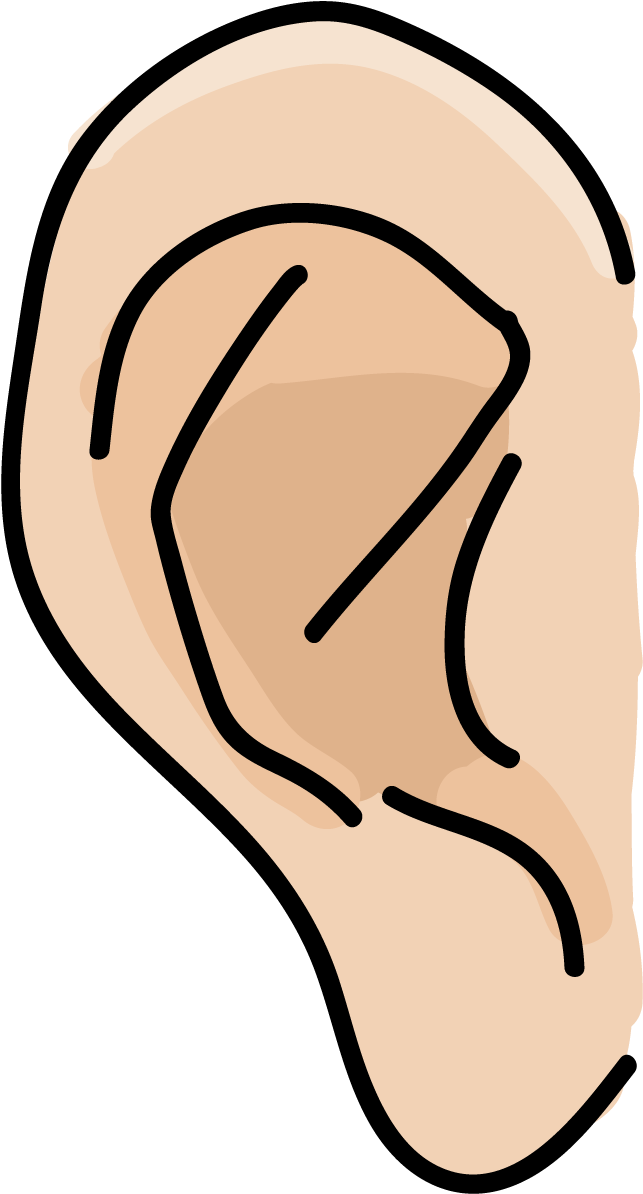 Instructional Infographics Kinesthetic Visual Clipart (900x1366), Png Download